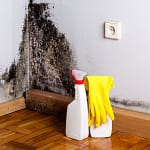 black mold on the walls of someone's home