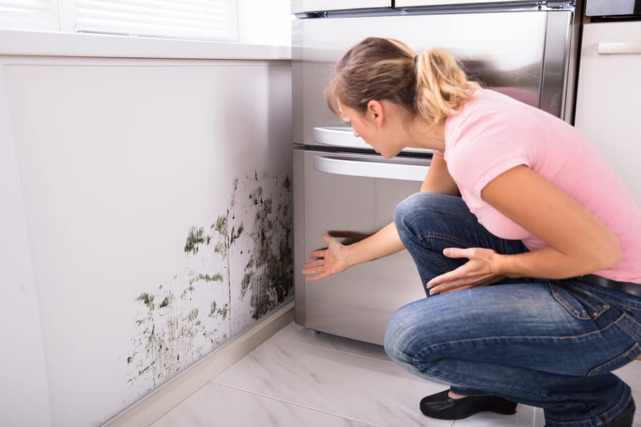 a woman who found mold in her home