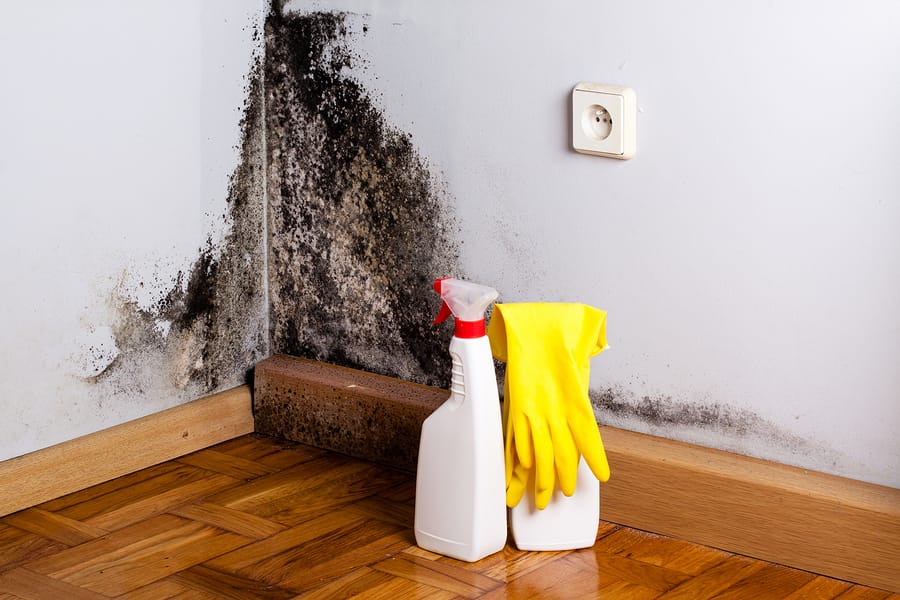 black mold on the walls of someone's home